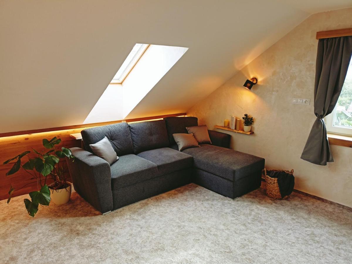 Apartman U Ovecku - Nová Paka 外观 照片