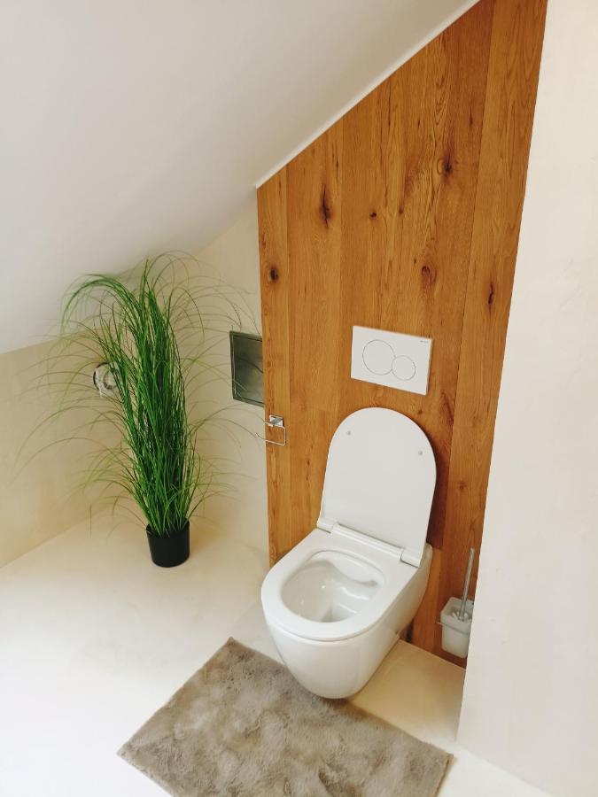 Apartman U Ovecku - Nová Paka 外观 照片